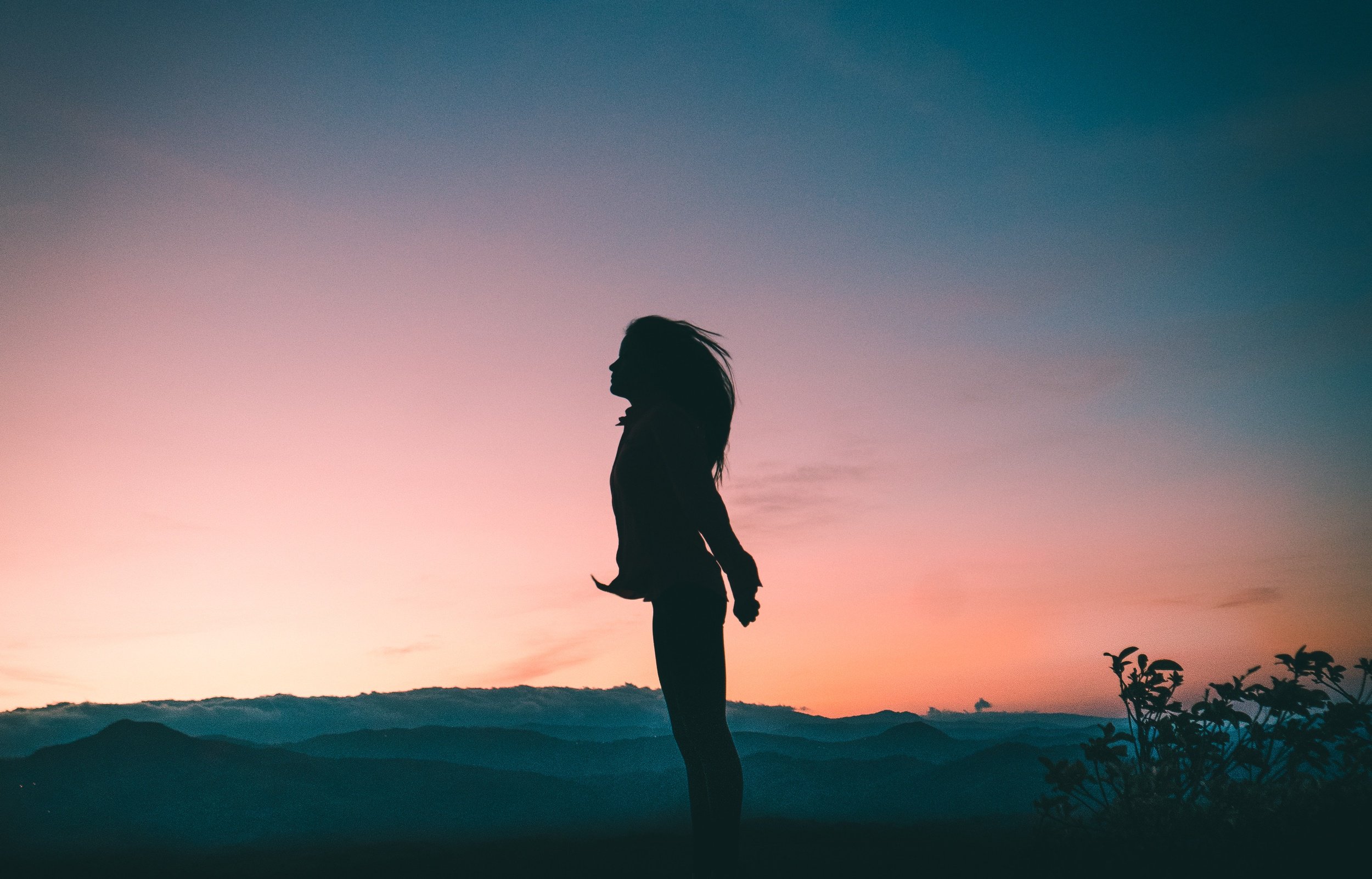 Total Body Modification